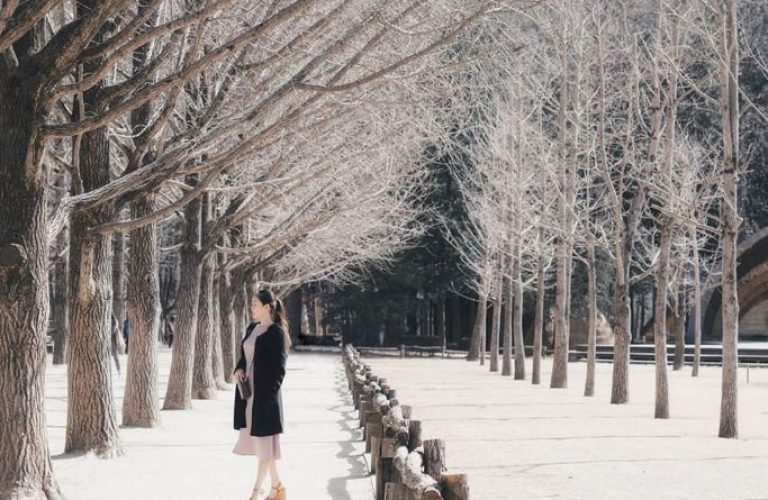 Đảo Nami mùa đông